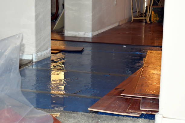 Professional Burst Pipe Cleanup technician working in Sebec, ME
